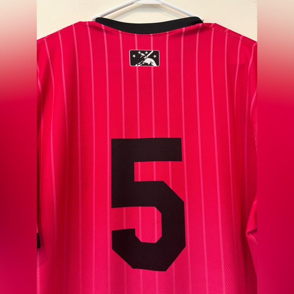 B’ham Barons Authentic Game Jersey for Breast Cancer Awareness, size 46(xl), - Picture 4 of 9